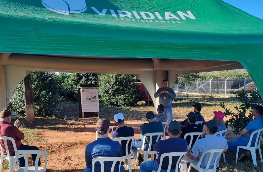 Produtores e técnicos participam de dia de  campo em Nova Esperança  