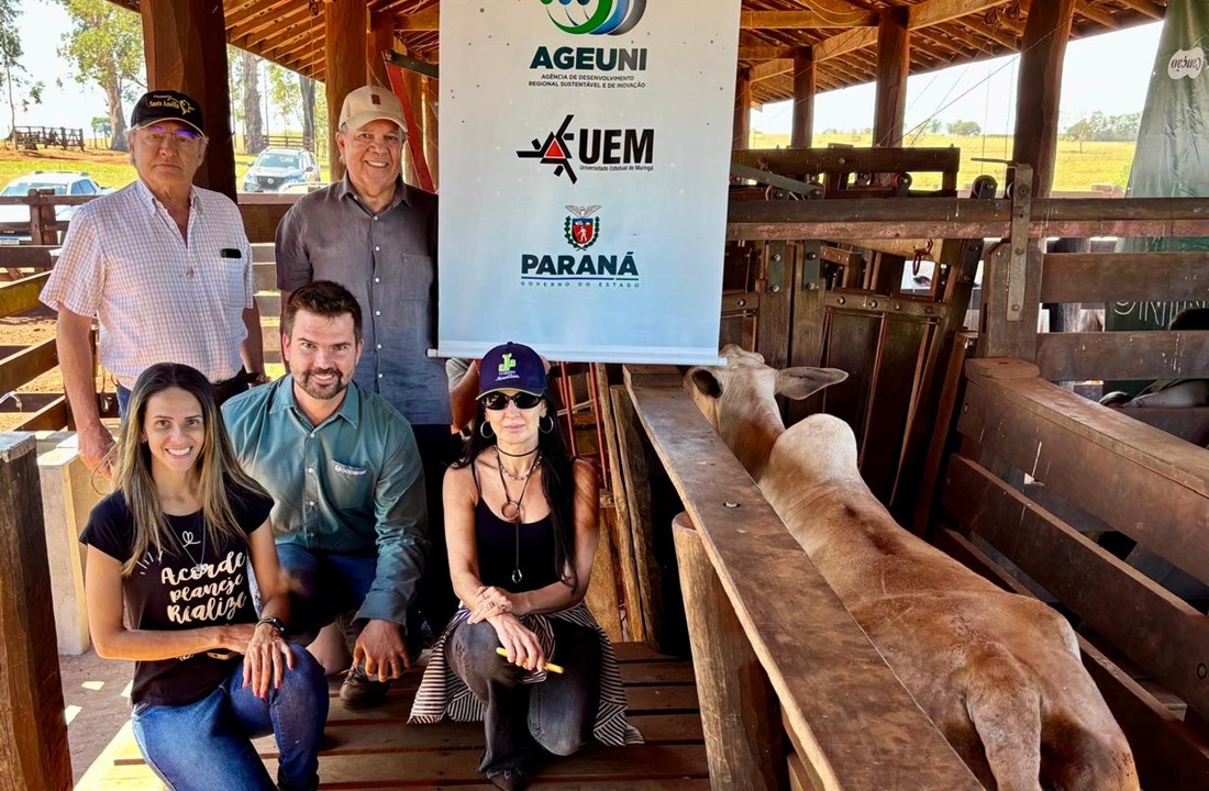 Projeto piloto difunde a IATF entre pecuaristas da região da Cocamar 