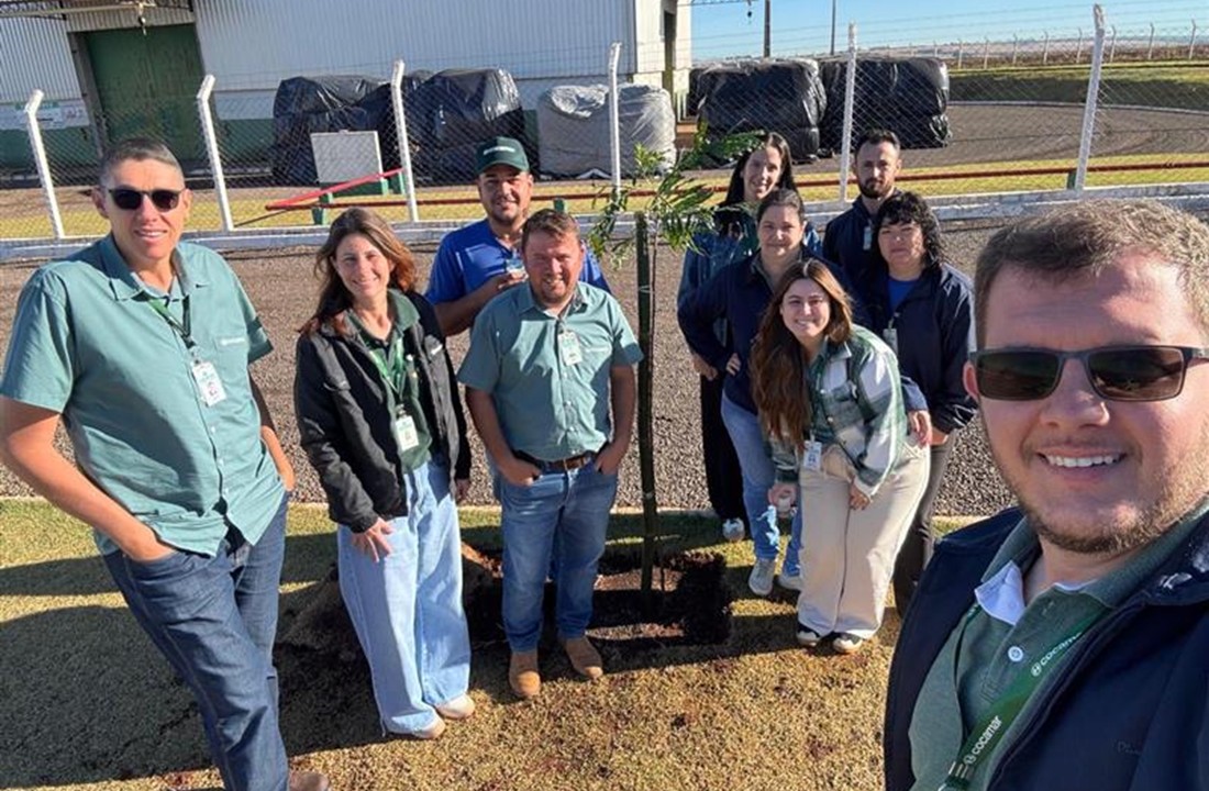 Colaboradores e cooperados de Ourizona se unem para o plantio de árvores